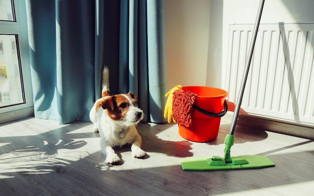Essential Cleaning Tips for a Pet-Friendly Home